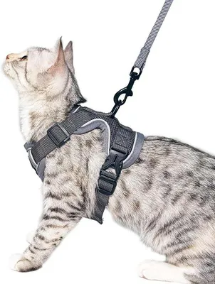 Image de Grand sac à dos tactique pour chat avec soutien émotionnel, gris, taille L