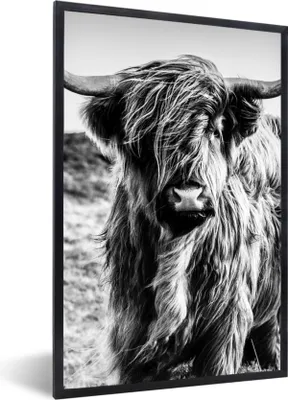 Produktbild von MuchoWow® Gerahmtes Poster Schottischer Highlander - Natur - Kuh - Schwarz - Weiß 60x90 cm - Poster mit Schwarzem Bilderrahmen Wandposter Rahmen Foto Bilder - Kunst