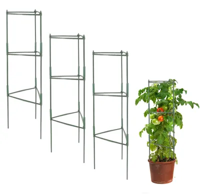 Immagine prodotto di Solidchoice - Set di 3 supporti per pomodori, ideali per piante rampicanti