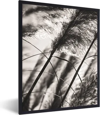 Produktbild von MuchoWow® Gerahmtes Poster Pampasgras - Schwarz - Weiß - Pflanze 60x80 cm - Poster mit Schwarzem Bilderrahmen Wandposter Rahmen Foto Bilder - Premium - Wanddeko Wohnzimmer