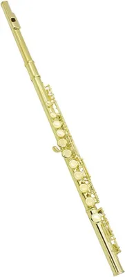 Produktbild von Querflöte mit 16 Tönen – C-Stimmung – Musikinstrument – Für Anfänger geeignet – 16 Töne – Goldfarben