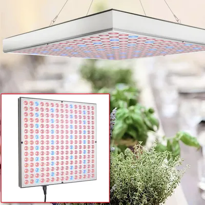Produktbild von Professionelle Pflanzen-Wachstumslampe mit 225 LEDs - 250 Lumen, 300x300x35mm – fördert das Wachstum von Pflanzen effektiv & zuverlässig