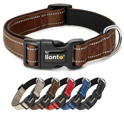 Produktbild von lionto Hundehalsband, Reflektierend, Gepolstert, Größe XS, Braun