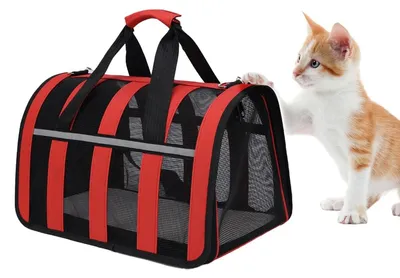Obrázek produktu pro Přenosná přepravka pro psy a kočky