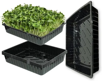 Produktbild von Famanu Anzuchtset 5 Stück - 39 cm x 29 cm x 6,5 cm, ohne Drainagelöcher
