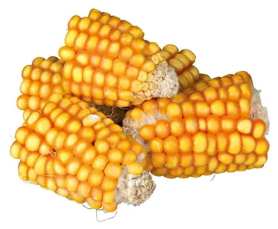 Productafbeelding van Trixie maiskolven, in stukjes, 300 gram