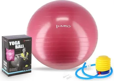 Produktbild von Yb01 (65 Cm) Pflaumenfarben Gymnastikball Hms
