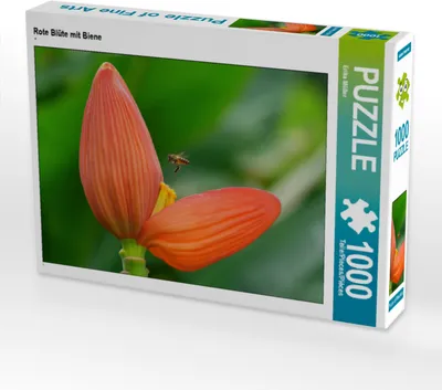 Produktbild von CALVENDO Puzzle Rote Blüte mit Biene 1000 Teile Puzzle quer | 1000 Teile Lege-Größe 64x48cm Foto-Puzzle für glückliche Stunden