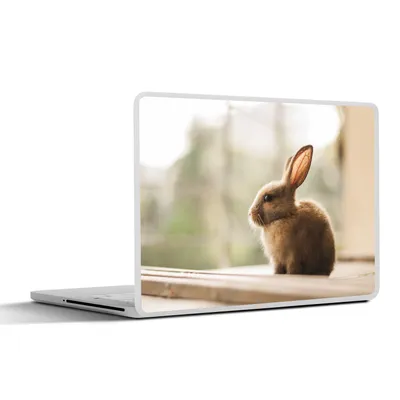 Produktbild von MuchoWow® Laptop Aufkleber Sticker Cover Kaninchen - Baby - Tier 40x30 cm - Laptop Dekoration - Selbstklebend