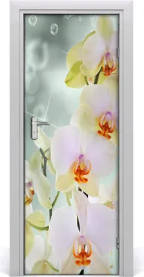 Produktbild von Tulup Türaufkleber 75x205 cm Dekorative Aufkleber Selbstklebend Wasserdichte Tapete Abnehmbar Schlafzimmer Wohnzimmer Wohnkultur - Orchideenen