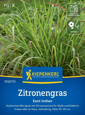 Produktbild von Kiepenkerl Zitronengrassamen East Indian Cymbopogon flexuosus 50 Pflanzen