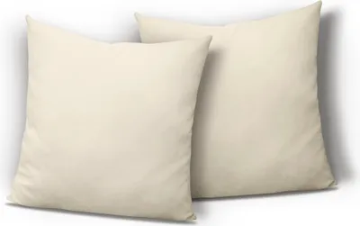 Produktbild von 2er Pack Kissenbezug Kissenhülle 40x40 cm natur Uni Jersey Baumwolle Set