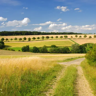 Produktbild von Wallario Möbeldesign / Aufkleber, geeignet für Ikea Lack Tisch - Feldlandschaft unter blauem Himmel in 55 x 55 cm