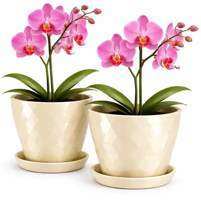 Immagine prodotto di Omgoods - Set di 2 vasi decorativi, diametro 18 cm, color beige chiaro