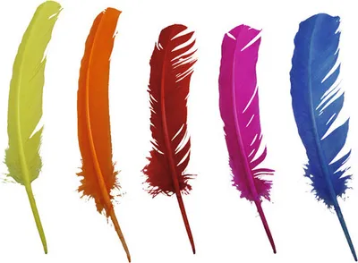 Produktbild von Indianerfedern bunt 28-30 cm 5 Stück