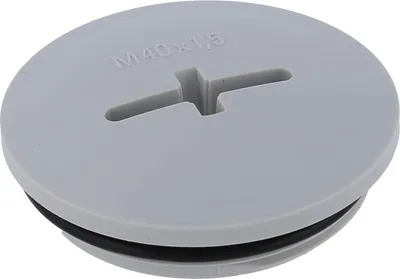 Produktbild von WISKA Kunstststoffverschluss EVSG-ORD 40 Schraube M40 10064639