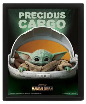 Obrázek produktu pro Obraz 3D Mandalorian Precious Cargo