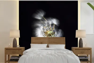 Produktbild von MuchoWow® Fototapete für Wohnzimmer oder Schlafzimmer Wandtapete Vinyl Motivtapete Eine Pollenblume auf schwarzem Hintergrund - 260x260 cm - Papiertapeten