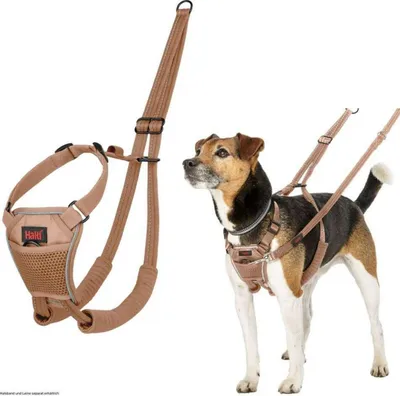 Produktbild von Halti Erziehungsgeschirr No Pull Harness Desert Sand, Größe: S