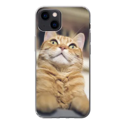 Produktbild von MuchoWow® Handyhülle Schutzhülle Hülle für iPhone 13 mini Katze - Bank - Orange Silikon Softcase Handy Hülle - Softcase