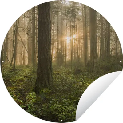 Produktbild von MuchoWow® Gartenposter Outdoor-Poster Rund Wald - Sonne - Licht Ø 120 cm Gartendeko Rundes Poster draußen