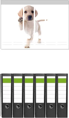 Produktbild von Wallario 6 Stück breite Ordner inkl. Klebeetiketten mit Motive Süßer Labrador-Welpe sagt Hallo -  Set mit Rückenschildern / Ordnerrücken Stickern
