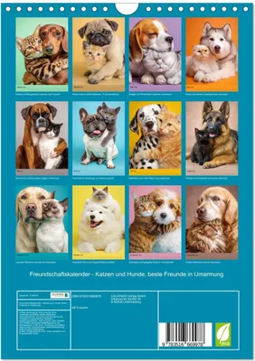 Produktbild von Freundschaftskalender - Katzen und Hunde, beste Freunde in Umarmung (Wandkalender 2026 DIN A4 hoch), CALVENDO Monatskalender