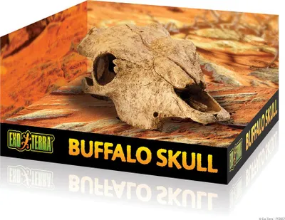 Immagine prodotto di EXOTERRA Cranio di bufalo