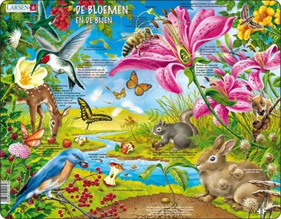 Produktbild von Larsen Maxi LA-NB4-NL, 55 Stück(e), Flora & Fauna, 3 Jahr(e)