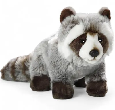 Produktbild von Carl Dick Waschbär ca. 25cm ca. 37cm mit Schwanz 2409 Kuscheltier, Plüschtier, Stofftier
