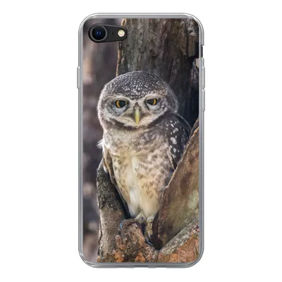 Produktbild von MuchoWow® Handyhülle Schutzhülle Hülle für iPhone 7 Eule - Baum - Wald Silikon Softcase Handy Hülle - Kartenhalter