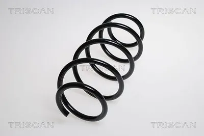 Immagine prodotto di Molla di sospensione LESJOFORS 4095087