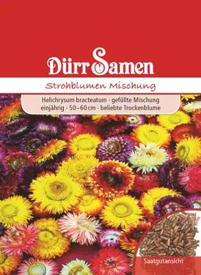 Artikelbild 1 von 'Strohblumen Mischung' aus der Kategorie Strohblumensamen