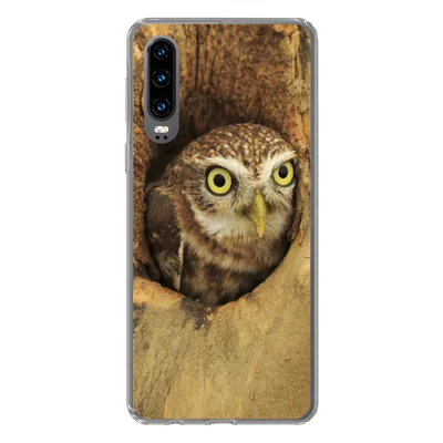 Produktbild von MuchoWow® Handyhülle Schutzhülle Hülle für Huawei P30 Braune Eule, die aus einem Loch in einem Baum schaut Silikon Softcase Handy Hülle - Kartenbesitzer