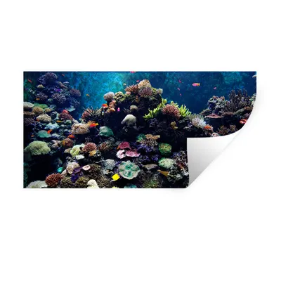 Produktbild von MuchoWow® Wandtattoo Wandsticker Wandaufkleber Aquarium mit tropischen Fischen und Korallen 120x60 cm Selbstklebend und Repositionierbar - Sticker - Dekorfolie