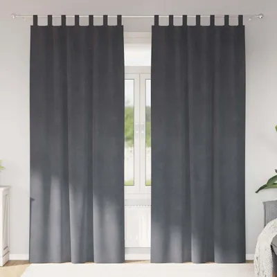 Imagen del producto de Cortinas 2 uds. Gris Claro 140 x 245 cm Terciopelo