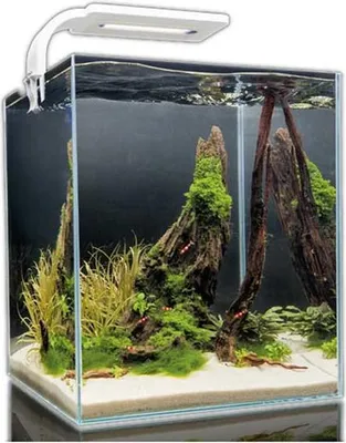 Produktbild von Aquael Shirmp D And N Komplettes Aquarium 19l Weiß Weiß One Size