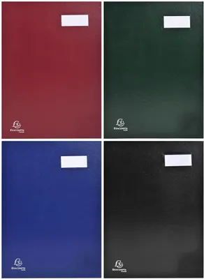 Zdjęcie produktu dla Exacompta 22120E Teczka do podpisu Dyrekcja 12 przegródek 24x32cm różne kolory