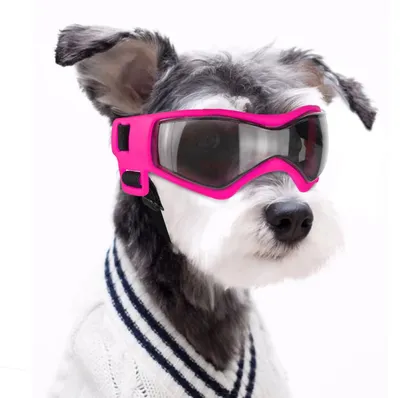 Produktbild von Sonnenbrille für Hunde mit UV-Schutz, geeignet für kleine und mittelgroße Hunde