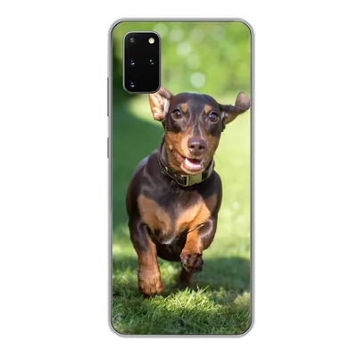 Produktbild von MuchoWow® Handyhülle Schutzhülle Hülle für Samsung Galaxy S20 Plus Ein sprintender Dackel Silikon Softcase Handy Hülle - Hartschale