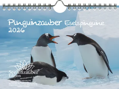 Produktbild von Pinguinzauber Eselspinguine DIN A5 Kalender für 2026 Pinguin - Seelenzauber