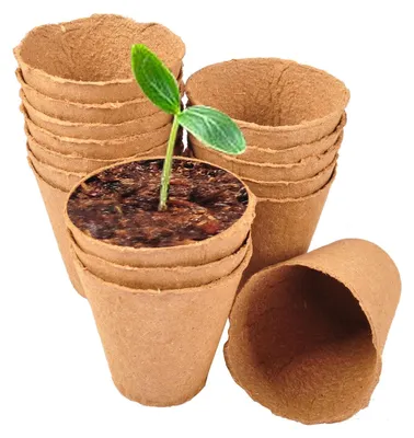 Image de Pots de culture classic floraworld Ø8cm 16 pièces