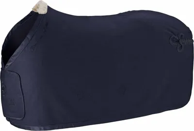 Image de Eskadron Platinum HW22 Chemise séchante en loden