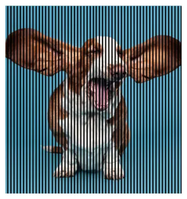 Produktbild von Akustikpaneele mit Digitaldruck Dog01 19 x 2253 x 2400 mm Hund MDF PET-Fasern Wandpaneele Blau Braun 4 Einzelplatten