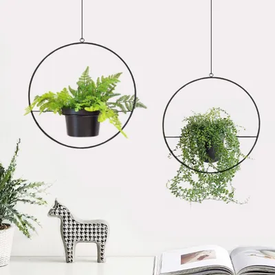 Obrázek produktu pro Wallxpert 968HBR1120, Hanging, Kov, Černá, Kulatý, Vnitřní, 250 mm