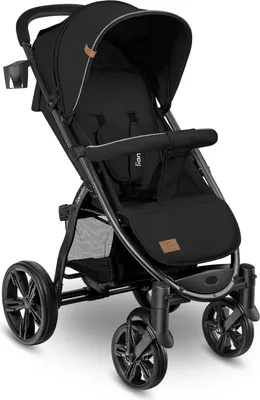 Image de Poussette LIONELO Annet Plus jusqu'à 22 kg, dossier inclinable, pliage facile, roues EVA, ceinture 5 points, canopy XXL, moustiquaire