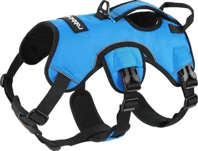Produktbild von Hundehalsband mit Tragegriff für große Hunde, reflektierend, atmungsaktiv, bequem, sicher, für Outdoor-Ausbildung und Training.