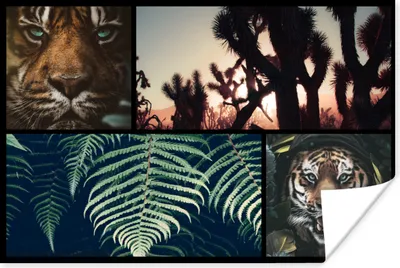 Produktbild von MuchoWow® Poster Collage - Tiger - Pflanzen - Sonnenuntergang 120x80 cm - Bilder