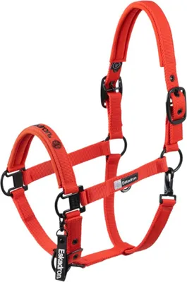 Produktbild von Eskadron Halfter Double Pin Dynamic 2025 Stallhalfter Poppy Red P2