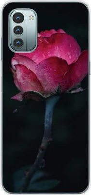Produktbild von König Design Hülle kompatibel mit Nokia G11 Kunststoff Soft Handyhülle - Handy Case Rose